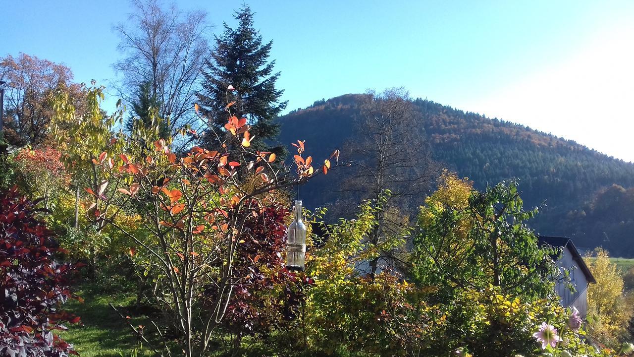 Apartment Schoenblick Winterberg Buitenkant foto