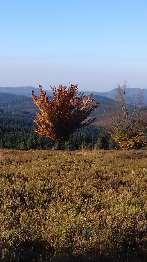 Apartment Schoenblick Winterberg Buitenkant foto
